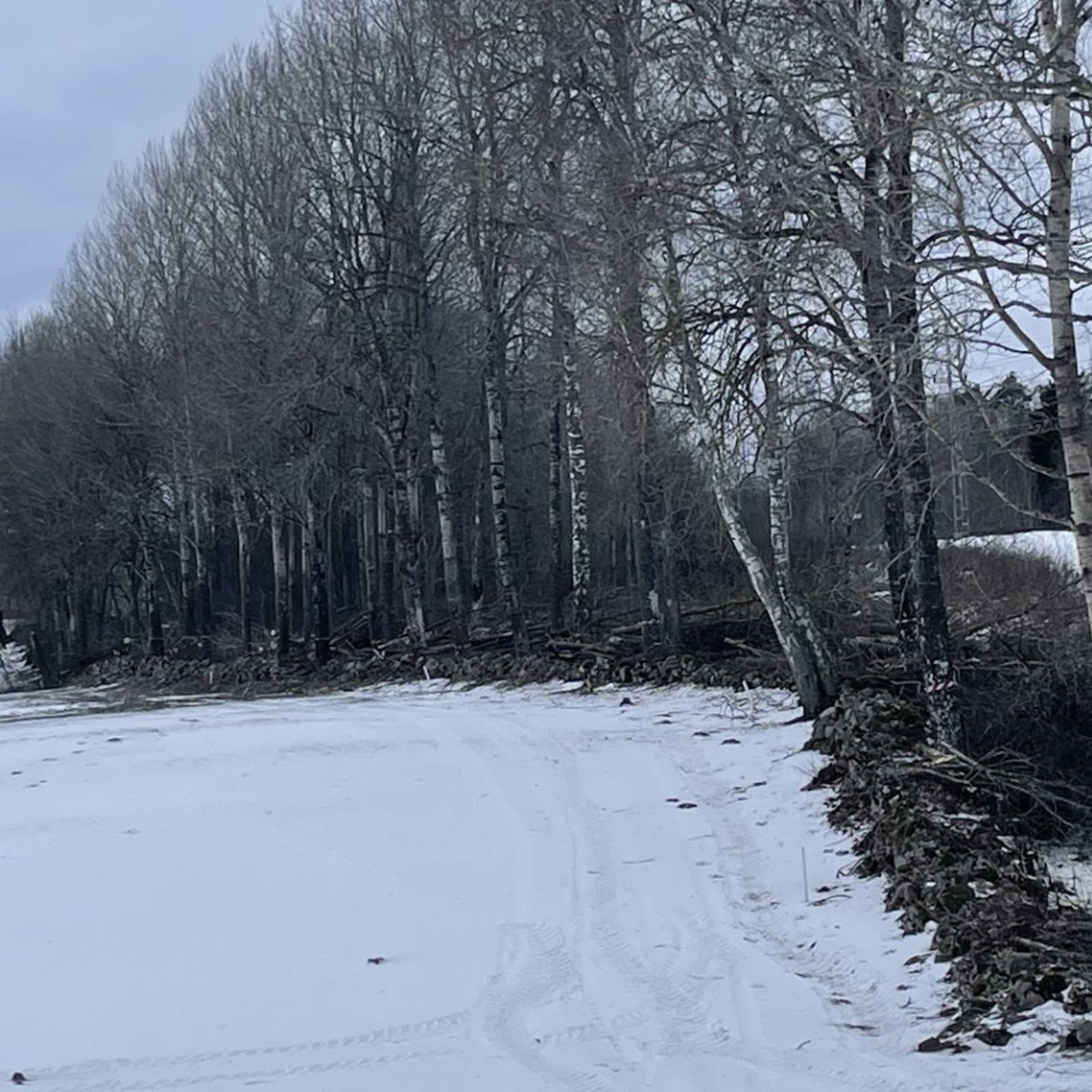 D71e6887 97Dc 46D4 A7ea 0Aaa1200f60a