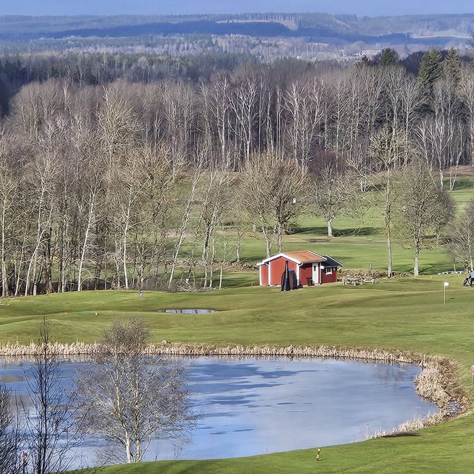 65848155 395C 4386 B8ca F5c50fab4cba (1)