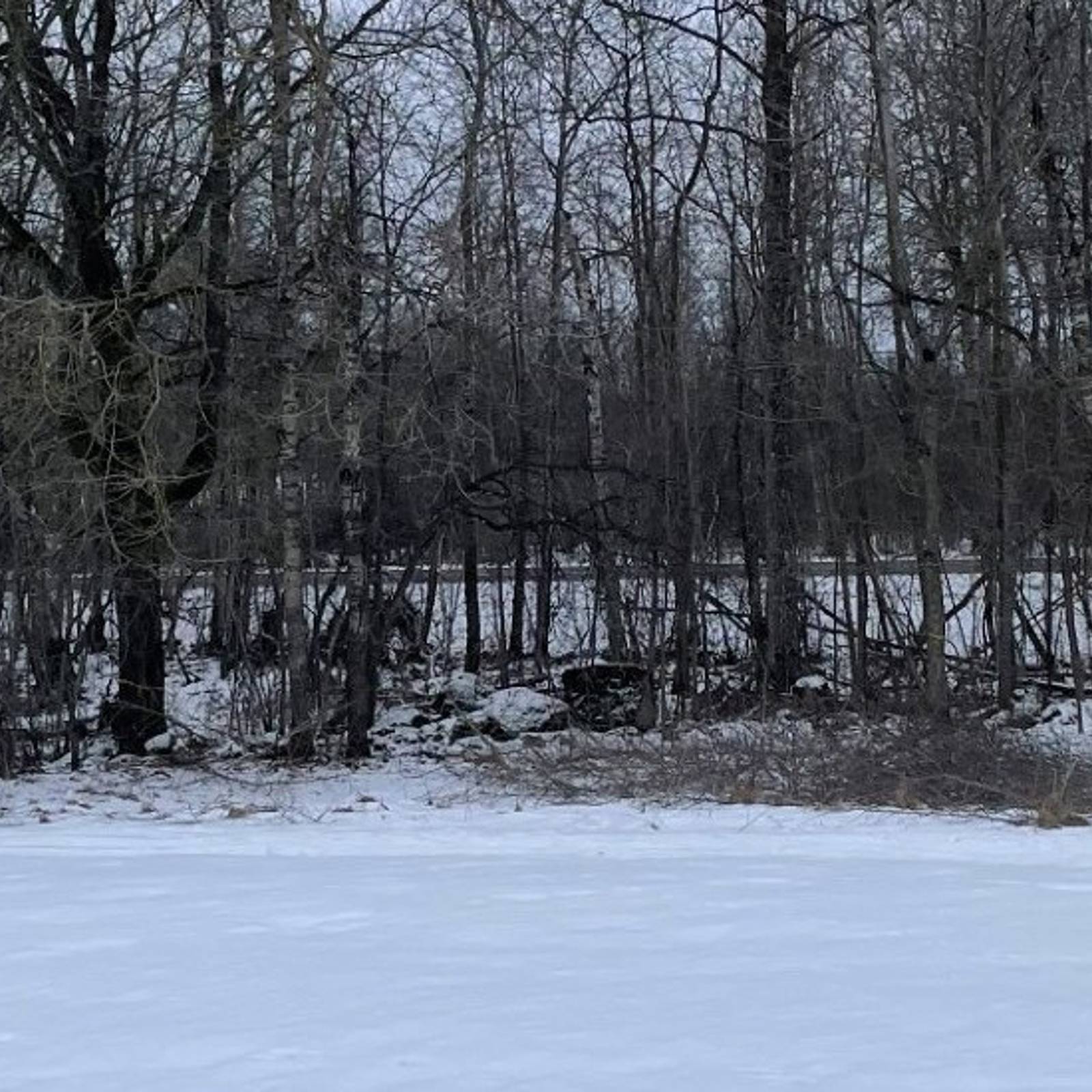 C2cd19fc 19F5 4986 81C7 510D4b88170e