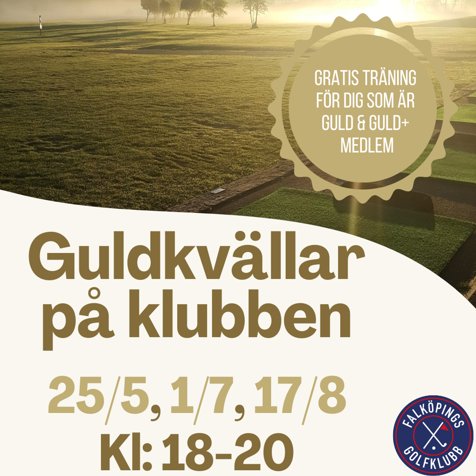 Guldkvällar (3)