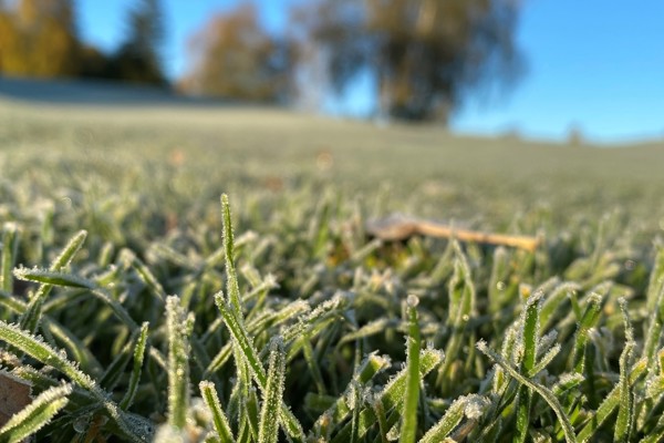 Frostiga tider
