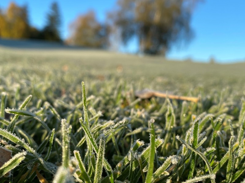Frostiga tider