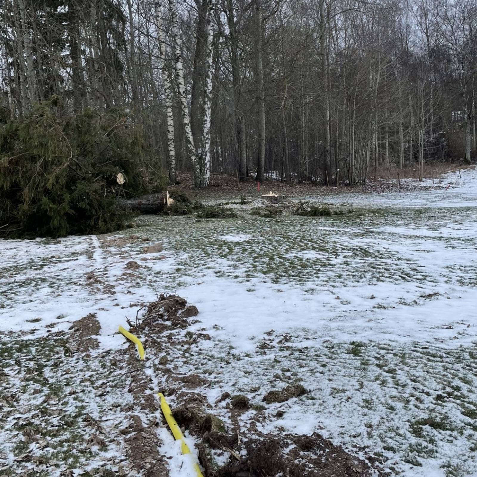 73F5bac2 63Eb 4575 A294 C2d1efa6158e