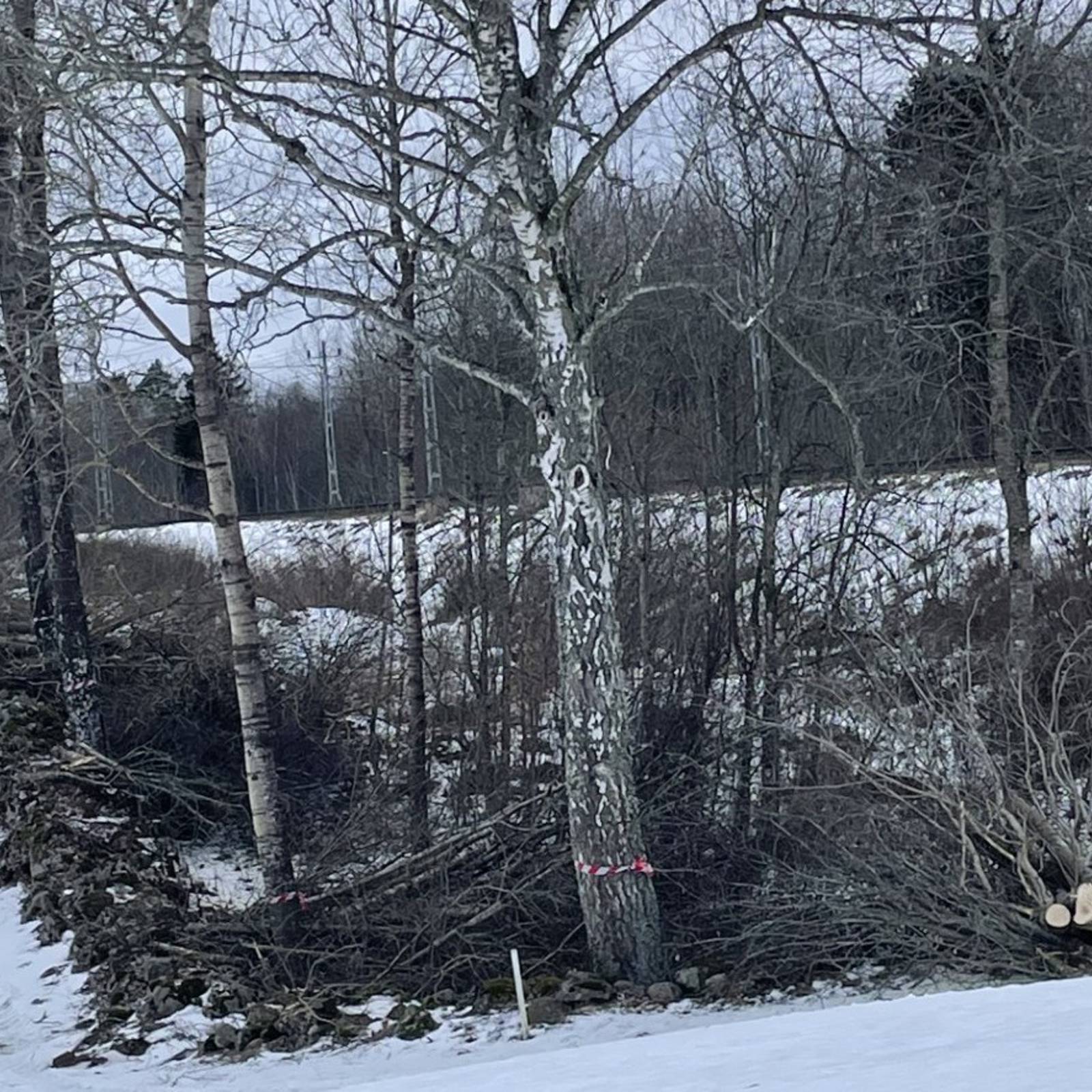 7Caeb4d2 2B1f 4947 B36f 546B3dcc0aa5