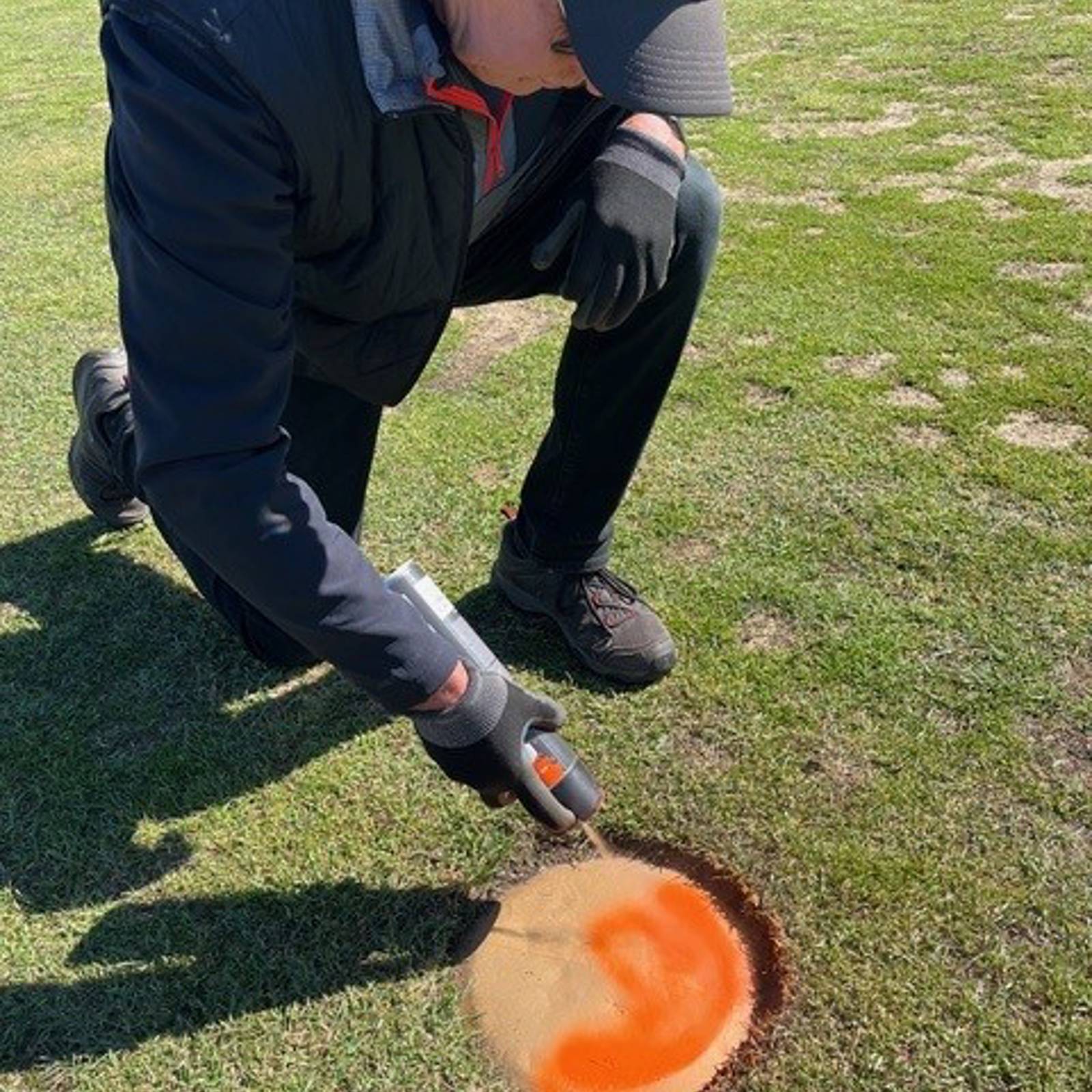 Guldtee Orange