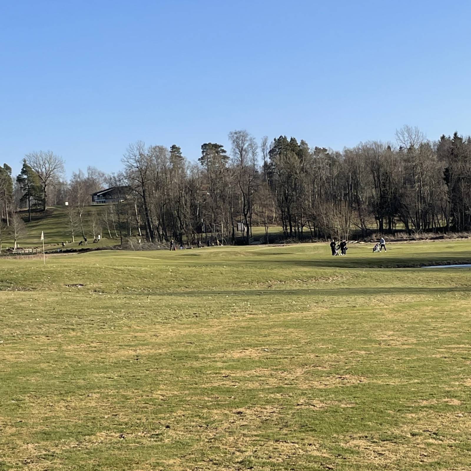 E1f58e17 8A4e 4B5e 9Dd2 Fa64cdd0bc83