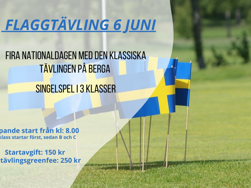 Flaggtävling 2024