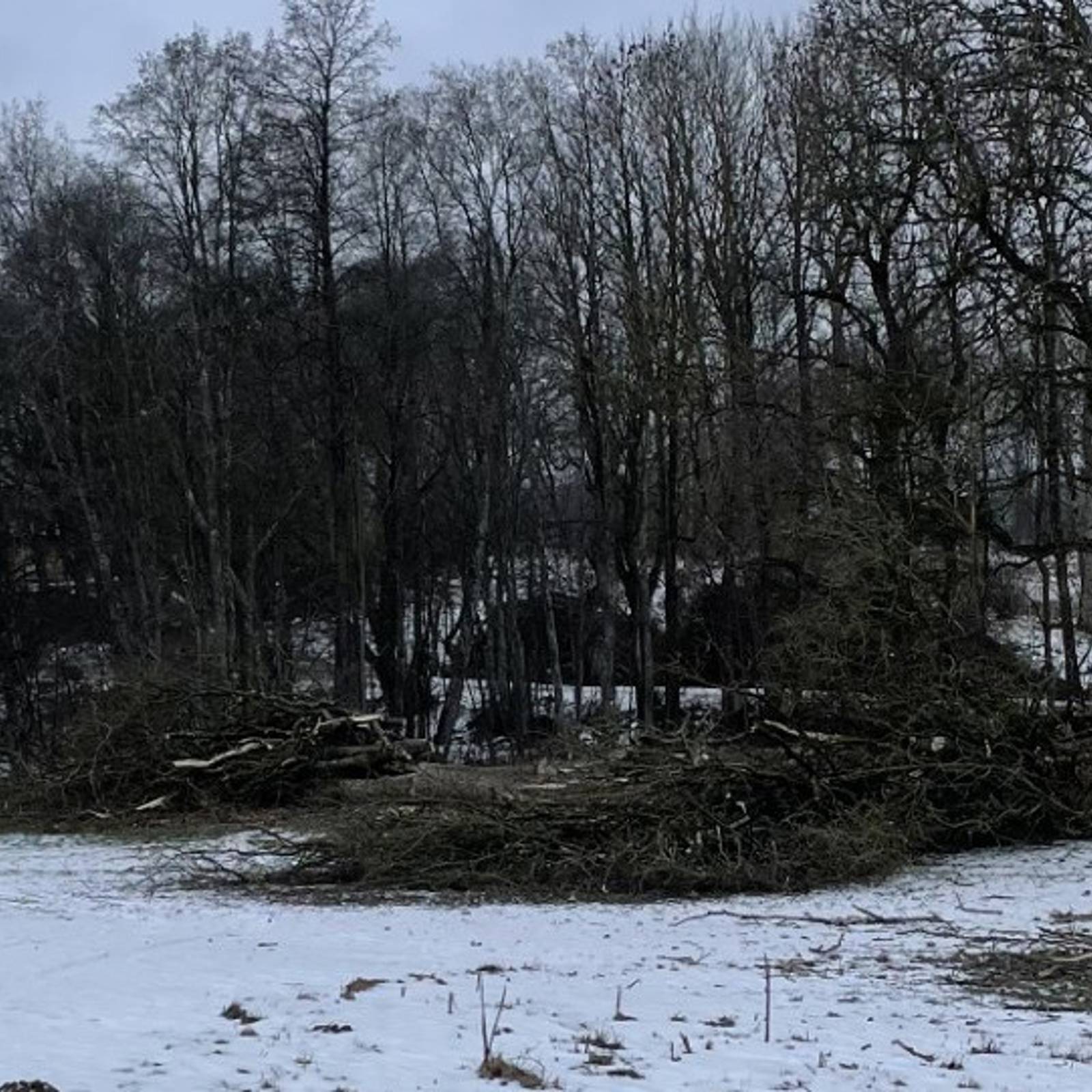 8Ed93130 E4bb 481E Add8 Cdfef422a0c8