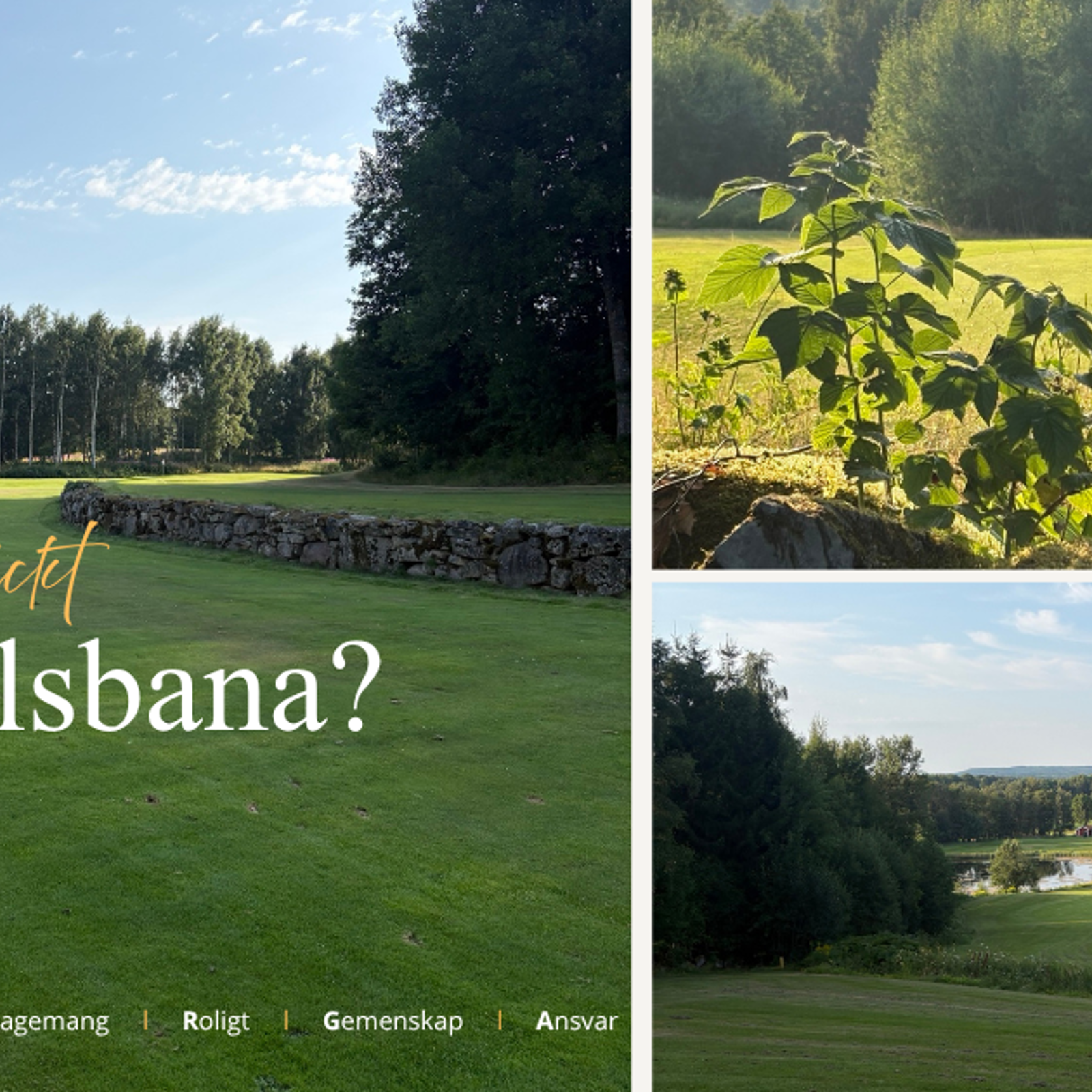 Golfspel 9 Hålsbanan