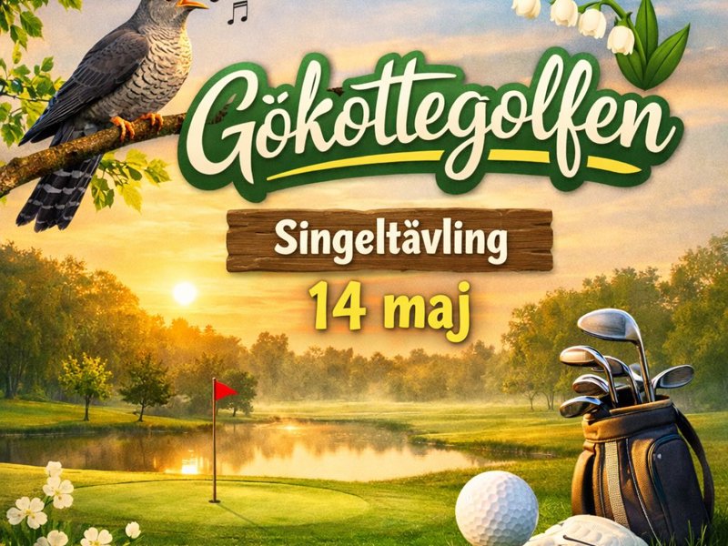 Singeltävling