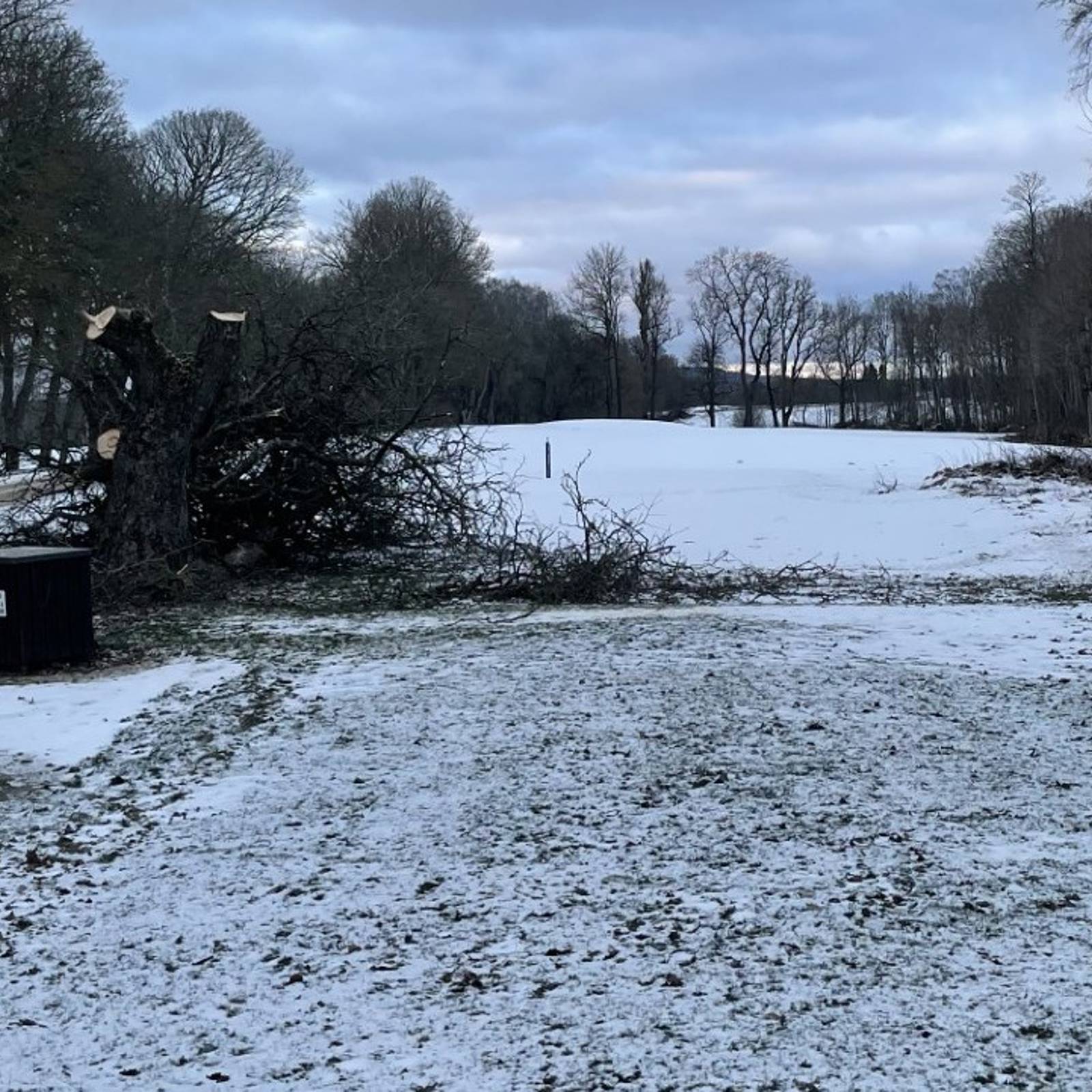 71A980c5 Ae9c 4266 8Bf9 F732ef2e91a5