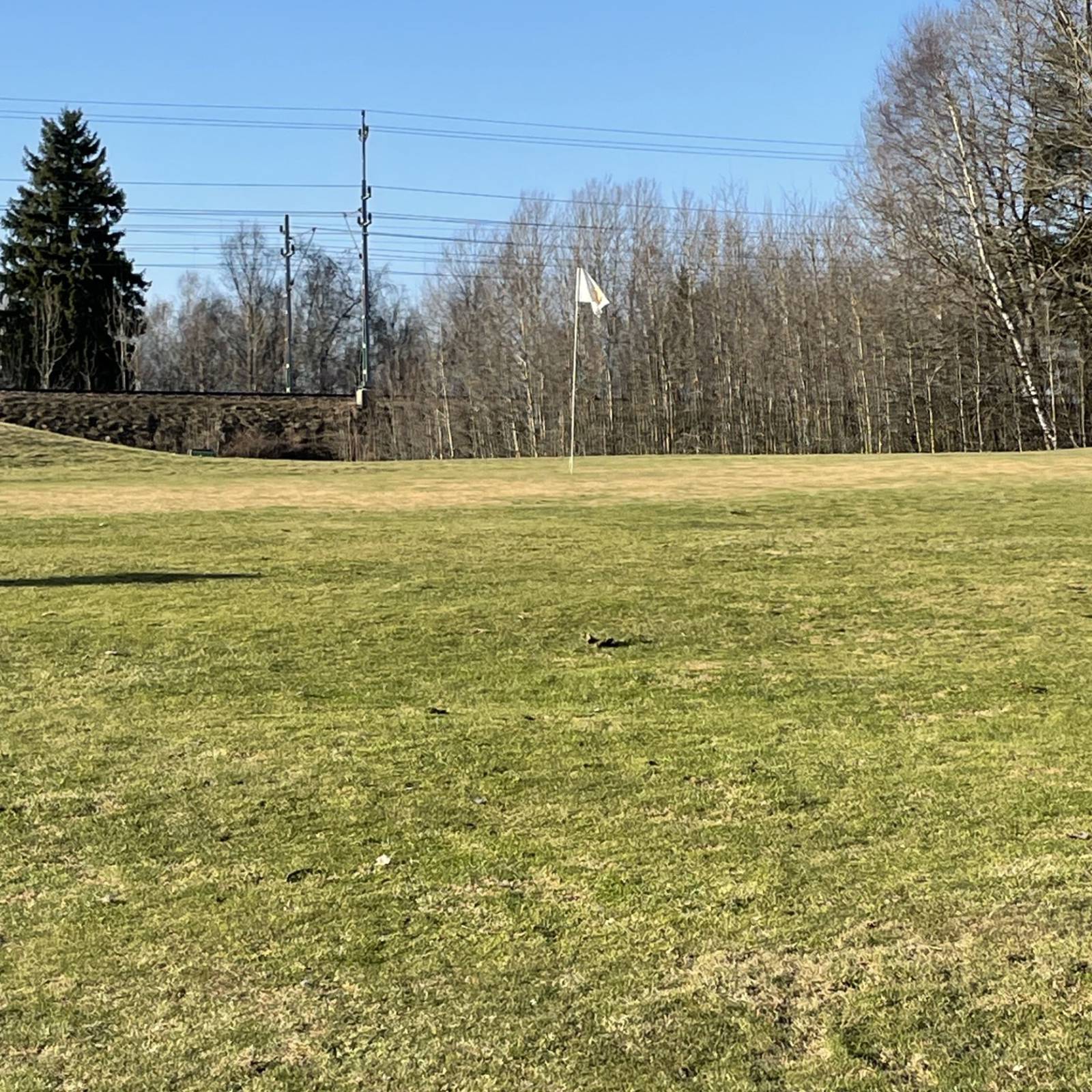 4Df2b795 Dc77 4F72 9A13 2438C5748cb5