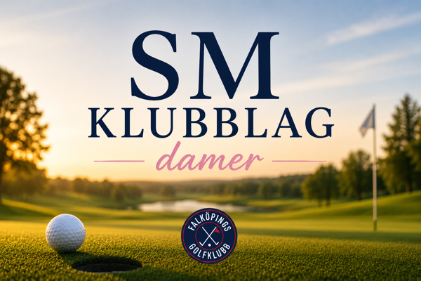 Lag-SM 17-18 juli