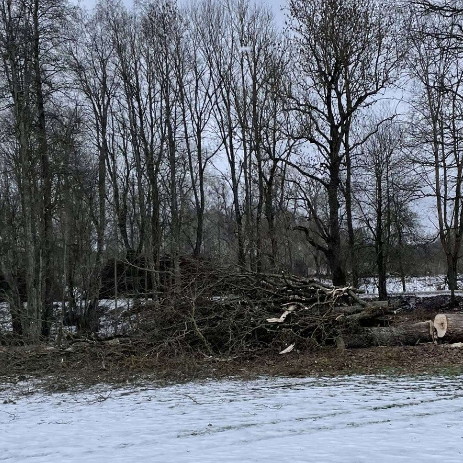 Fb0ad3c9 74F4 4764 8B9e Bfd22dfeba93