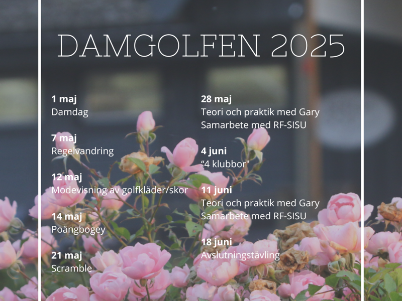 Damgolfen/Berga Ladies