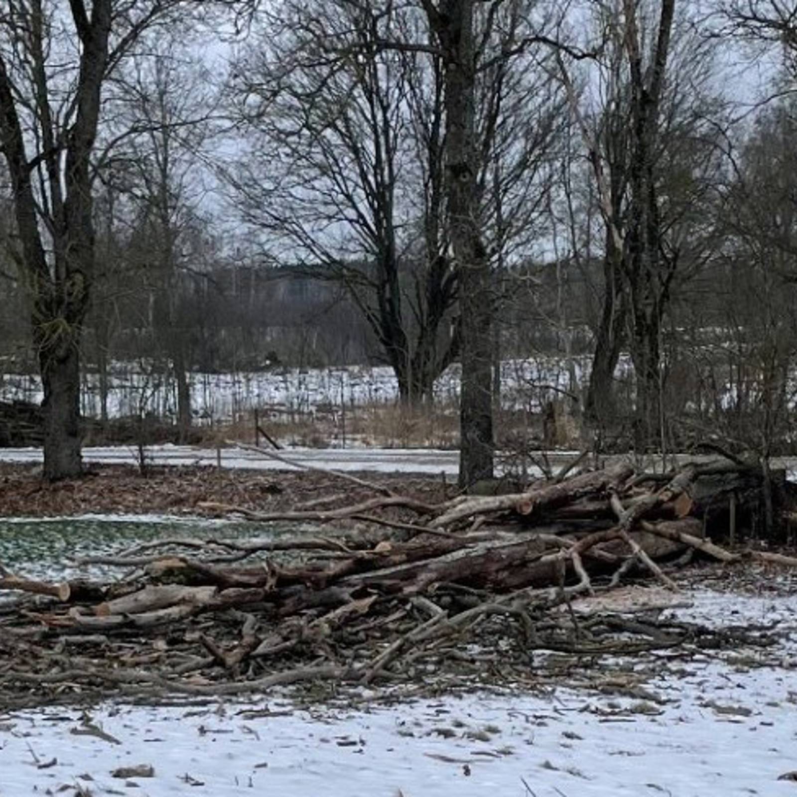 5758197B C203 4912 A47f D51ec53e020b