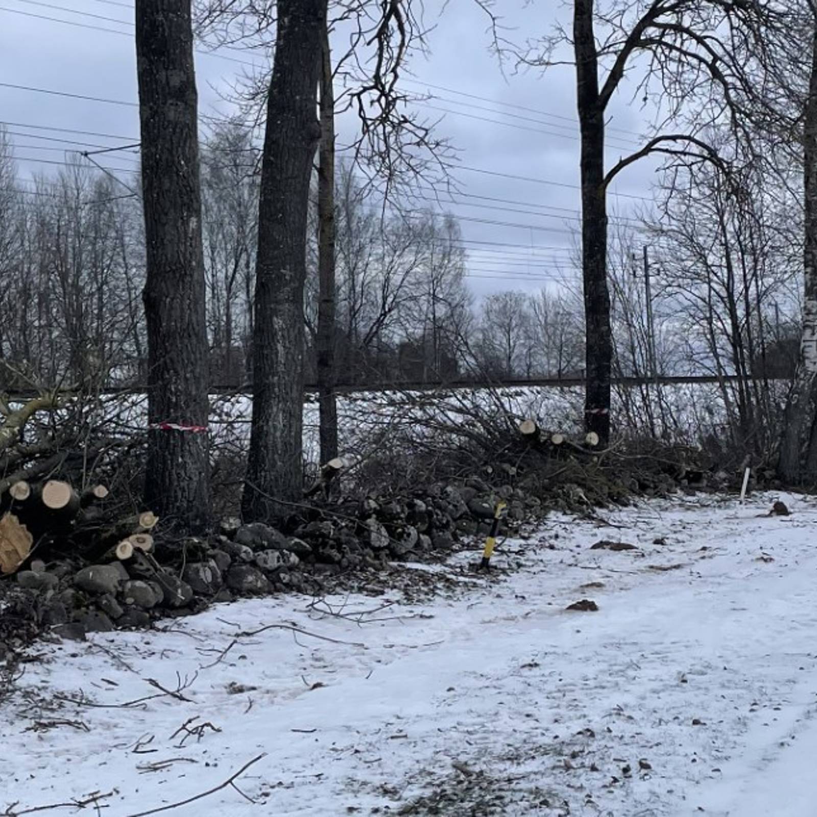 5Db548dd 4955 464D Bc59 Ab162c2ef923