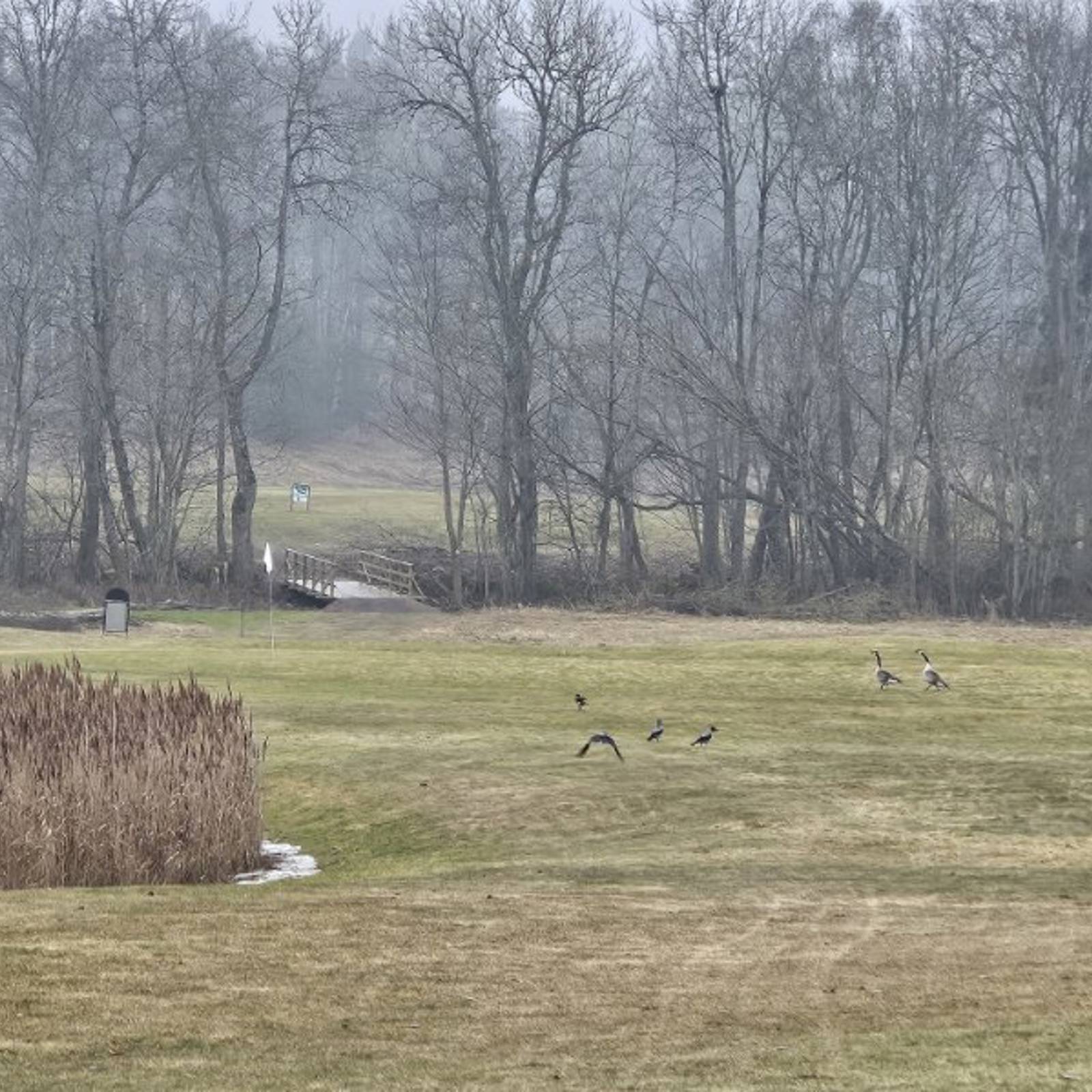 A8c0792a 7E47 4145 8921 1Aed6f1e32f1