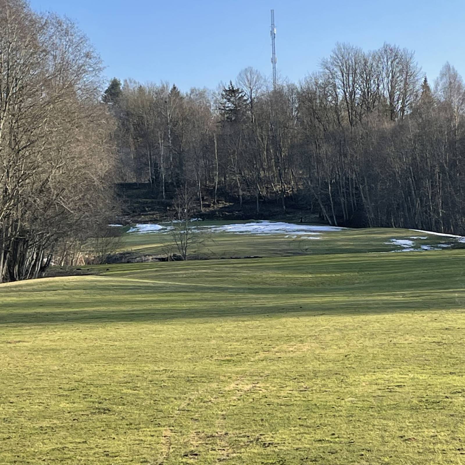 7D46ad81 627E 4139 83F2 E804c60c769c